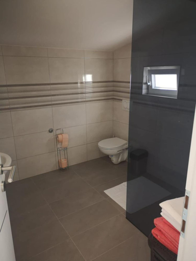 Bathroom 3, Apartments Tara, Ražanac