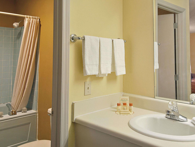 Bathroom 4, Econo Lodge Cheraw Market Street, Chesterfield