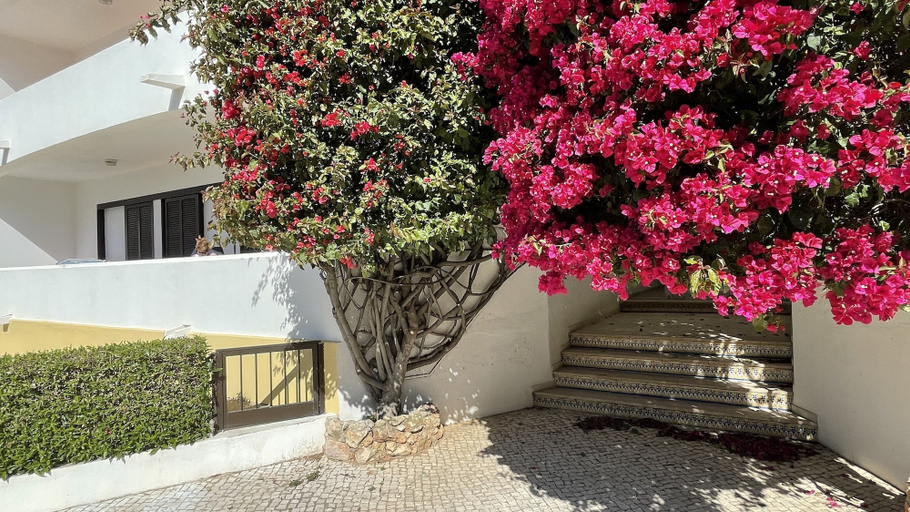 Exterior & Views 2, Medronheira CIP, Albufeira