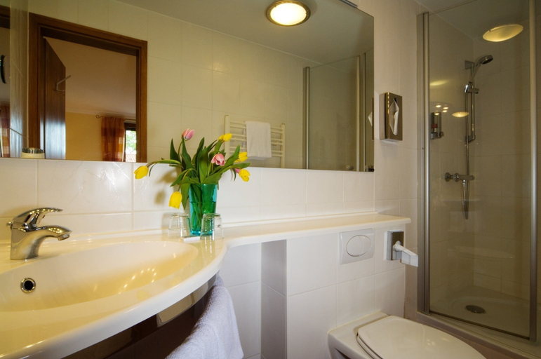 Bathroom 5, Panoramahotel Grobauer, Freyung-Grafenau