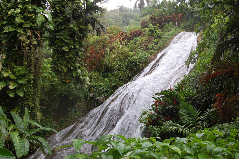 Others 5, Inn at Shaw Park Gardens & Waterfalls