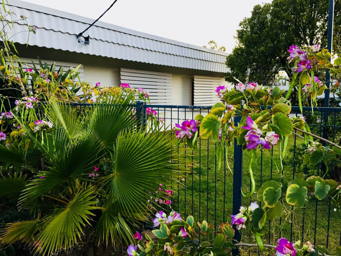 Exterior & Views 2, Balonne River Motor Inn, Balonne