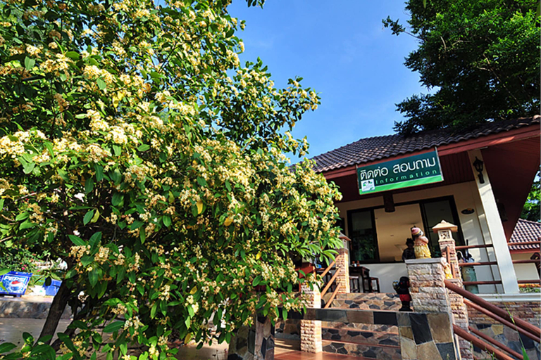 Exterior & Views 3, Baan Suan Rojjana, Muak Lek