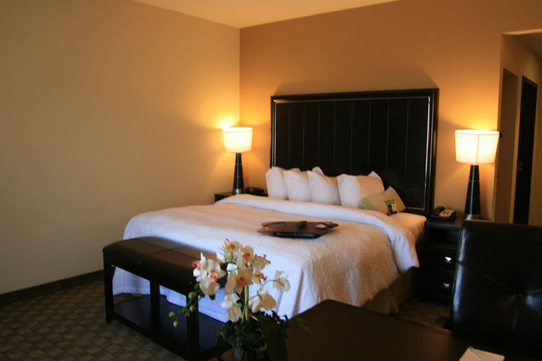 Bedroom 3, Hampton Inn & Suites McAlester, Pittsburg