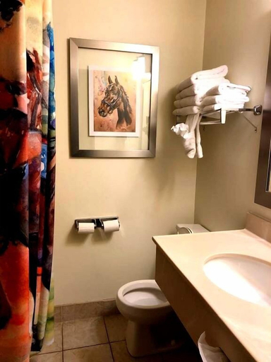 Bathroom 3, Cedar Stables Inn and Suites, Erie