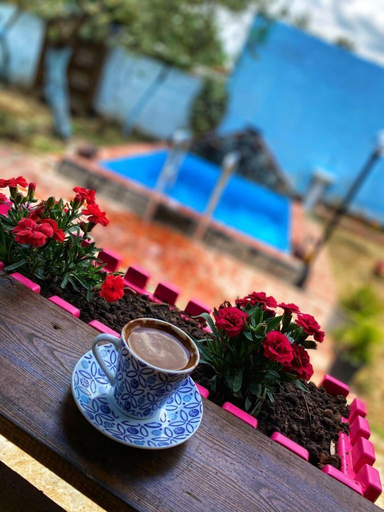 Food & Drinks 5, Zeytindagi Bungalow, Edremit