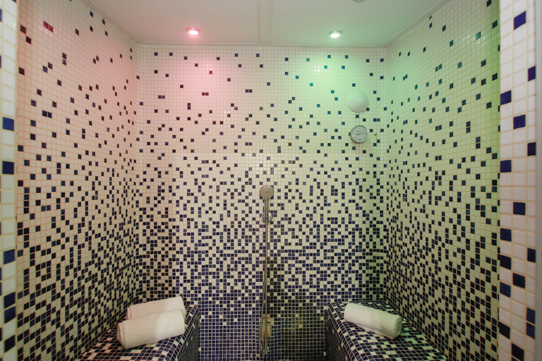 Bathroom 5, Clarion Aparthotel Toulouse Blagnac Airport, Haute-Garonne