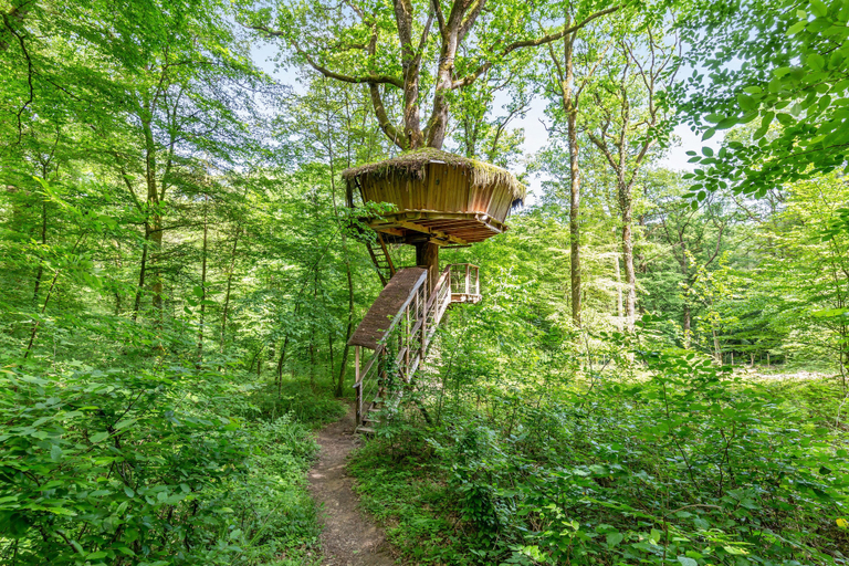 Others 5, L'Arbre à Cabane, Haute-Marne