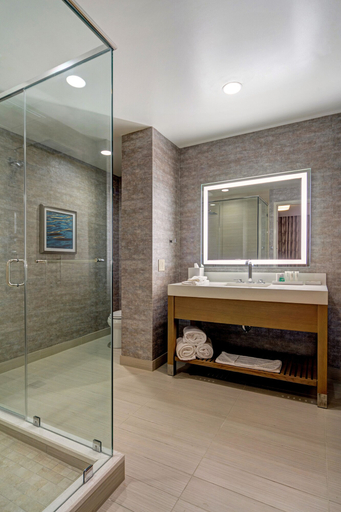 Bathroom 5, JB Duke Hotel, Durham