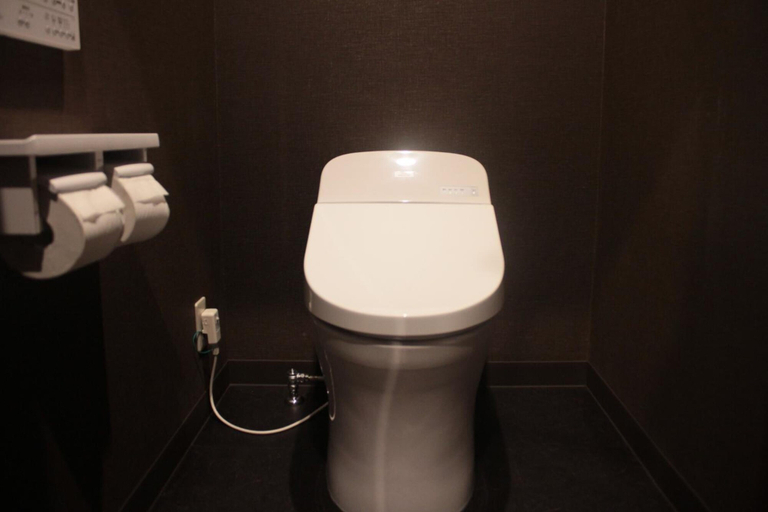 Bathroom 3, Tokiwa Ryokan, Nikkō