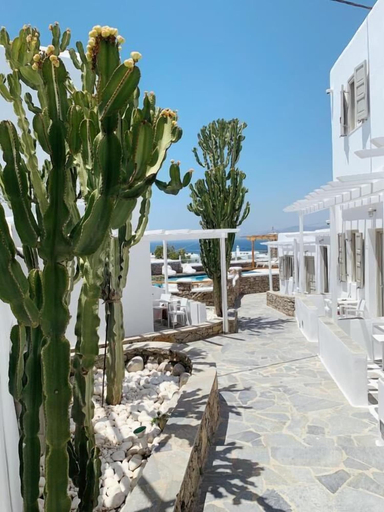 Exterior & Views 2, Damianos Mykonos Hotel, South Aegean