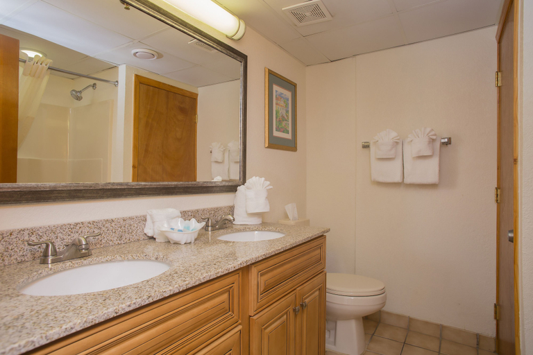 Bathroom 5, Beach Cove Resort, Horry