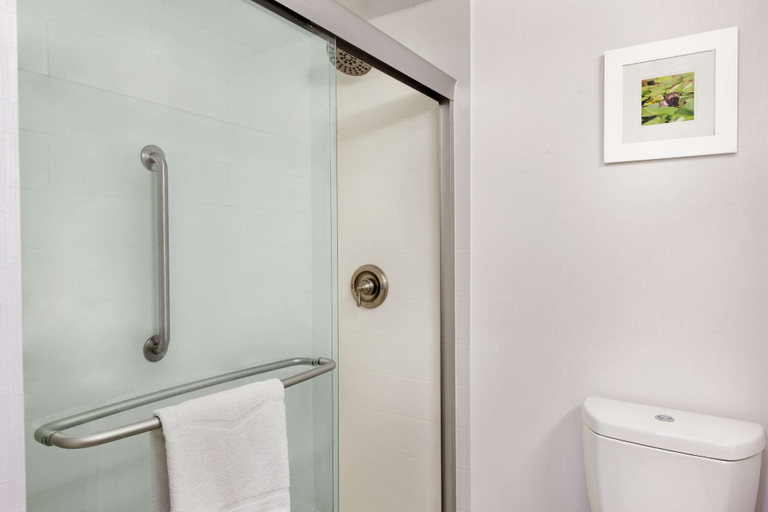 Bathroom 4, Hampton Inn Waycross, Ware
