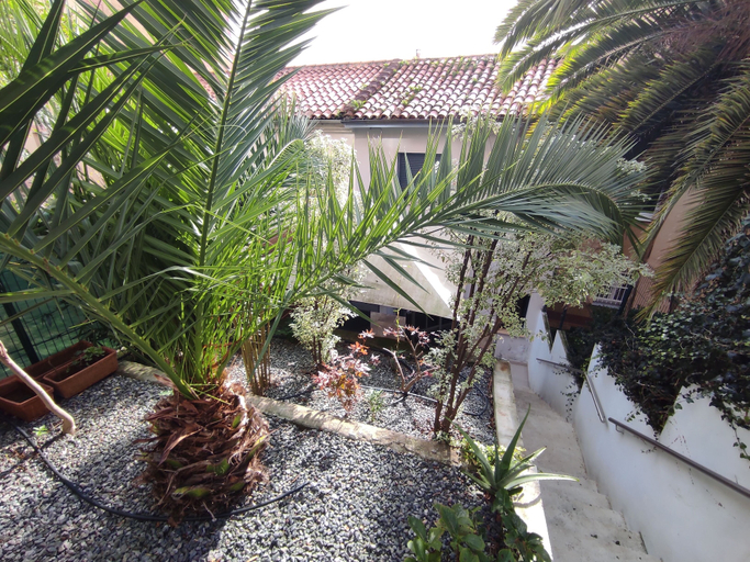 Others 5, Los Patios de Santander, Cantabria
