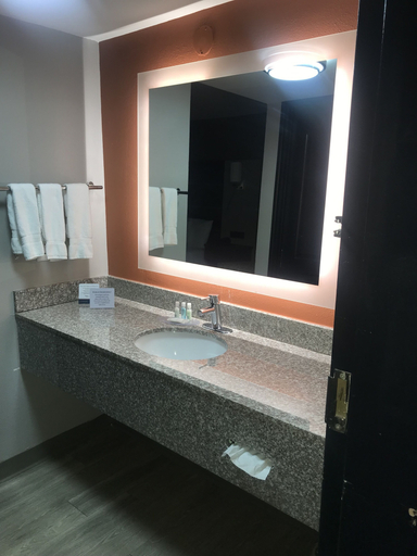 Bathroom 4, VetteCity Hotel, Warren