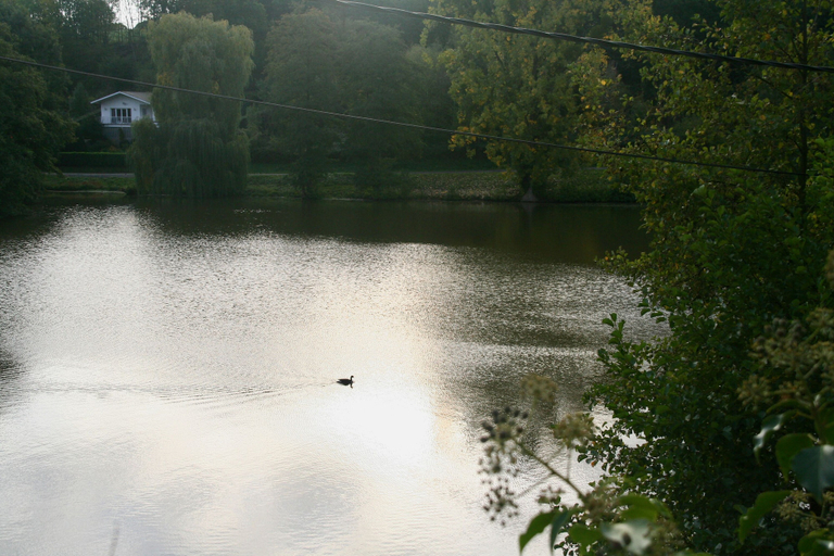 Others 4, Châtelet de Barbençon, Hainaut