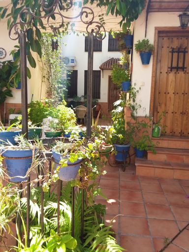 Others