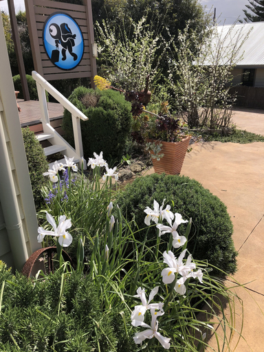 Others 5, Port Campbell Guesthouse & Flash Packers, Corangamite - South