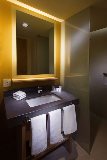 Bathroom 5, Hilton Garden Inn Monterrey Airport, Apodaca