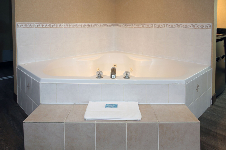 Bathroom 5, Holiday Inn Express & Suites VERNON by IHG, North Okanagan