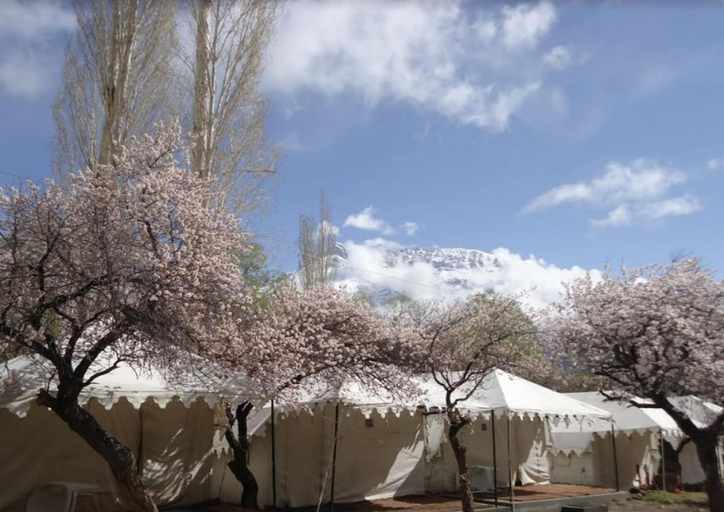 Exterior & Views, Royal Deluxe Camp, Leh