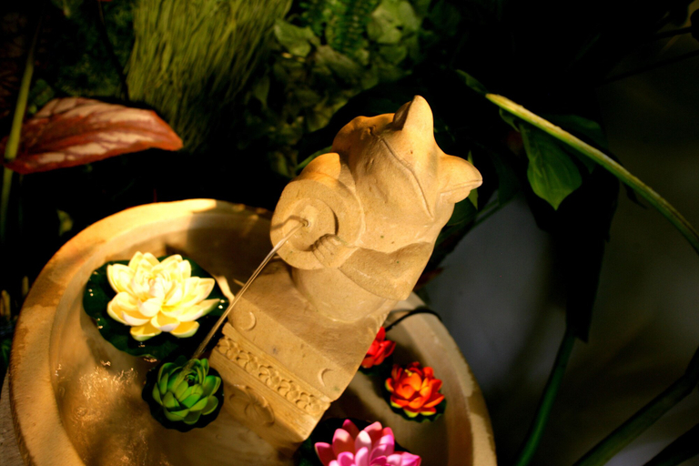 Food & Drinks 5, Hotel The Lotus Bali - Adult Only, Kawasaki
