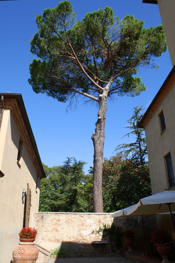 Exterior & Views 2, Borgo Dolciano, Siena