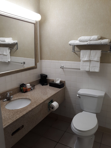 Bathroom 5, Rodeway Inn, Cayuga