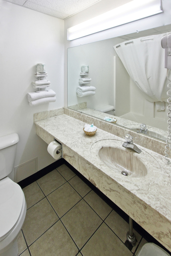 Bathroom 3, Cadillac Inn, Wexford