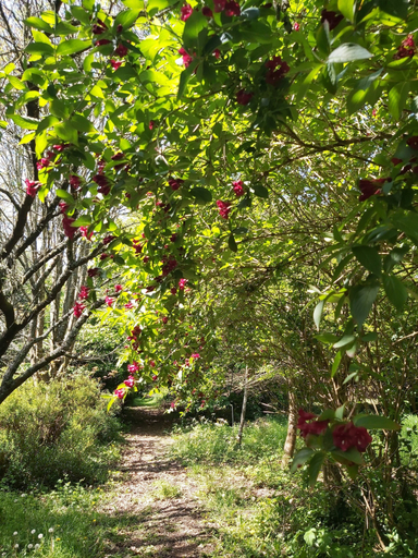 Others 5, Domaine de Kerstrat, Finistère