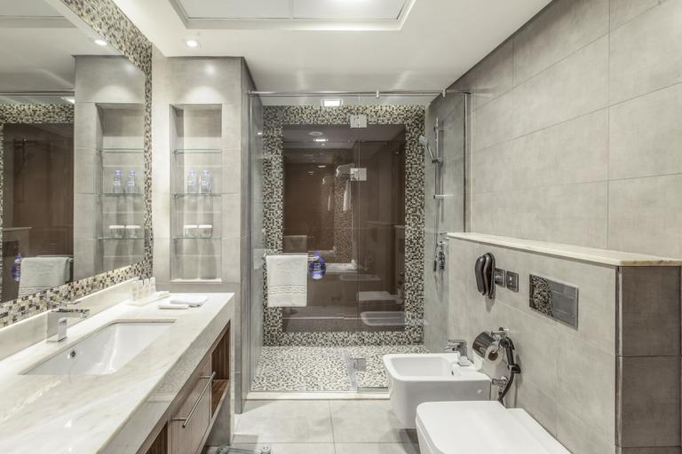 Bathroom 5, Radisson Blu Hotel Dubai Waterfront, Dubai