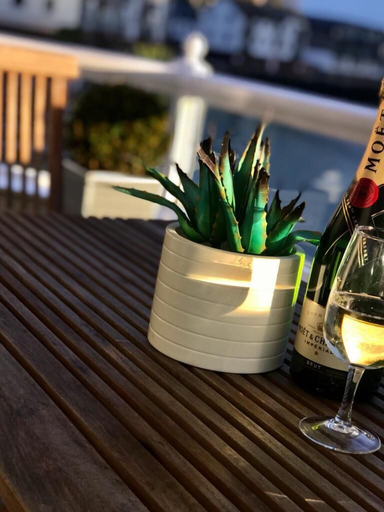 Food & Drinks, The Boathouse, Devon