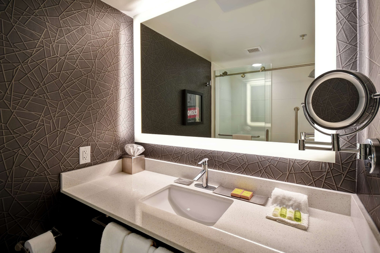 Bathroom 4, DoubleTree by Hilton Deadwood at Cadillac Jack's, Lawrence