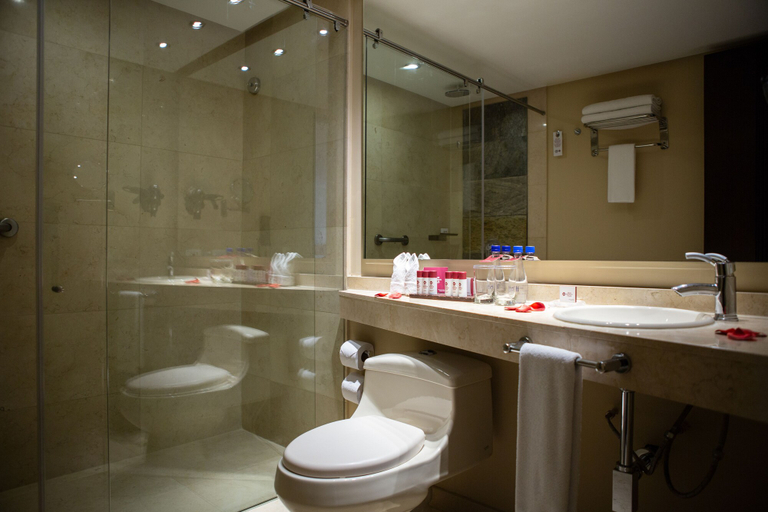 Bathroom 5, Best Western Plus 93 Park Hotel, Santafé de Bogotá