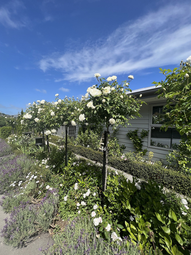 Exterior & Views 2, Lyttelton Boatique House, Christchurch