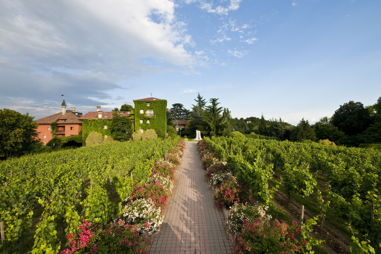 Exterior & Views 2, L'Albereta, Relais & Chateaux, Brescia