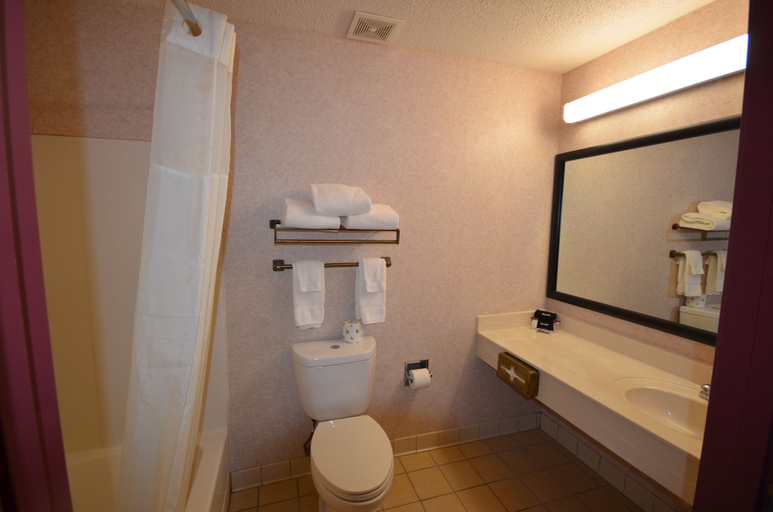 Bathroom 4, TownSquare Place, Carver
