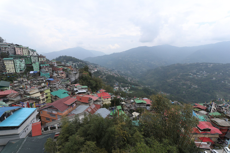Others 4, Hotel Tenancy, East Sikkim