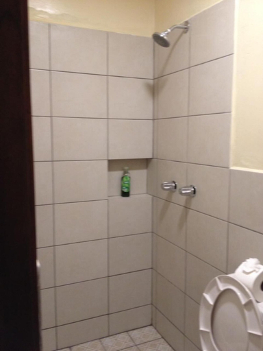 Bathroom 3, Airport Inn Managua, Managua