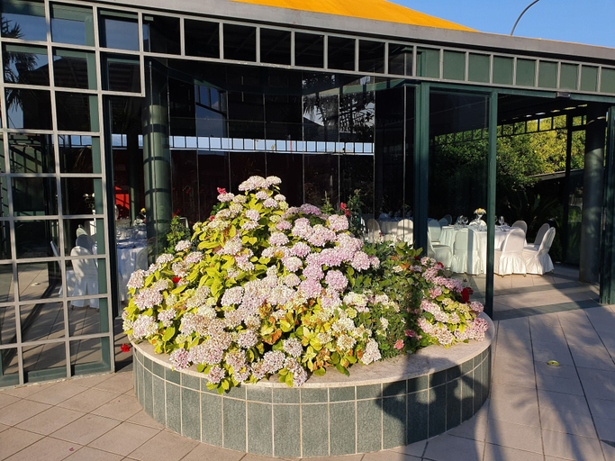 Exterior & Views 2, Hotel Ristorante La Campagnola, Frosinone