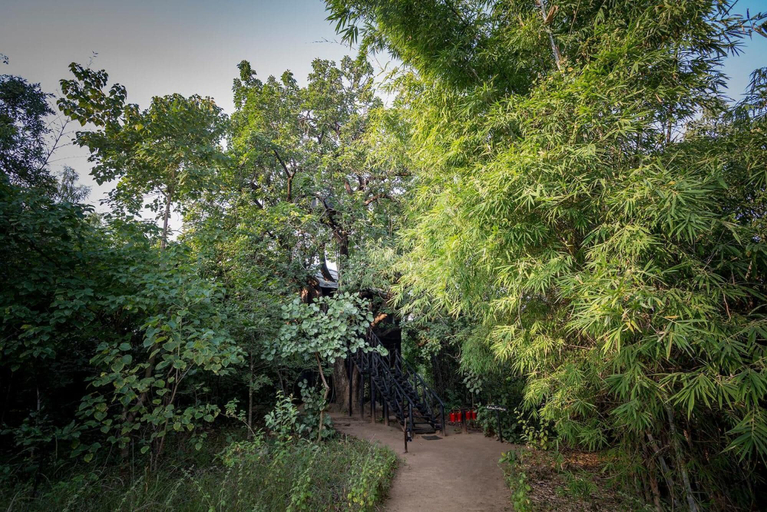 Others 5, Pugdundee Safaris- Tree House Hideaway, Umaria