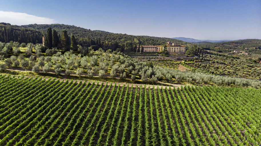 Torre a Cona Wine Estate, Florence