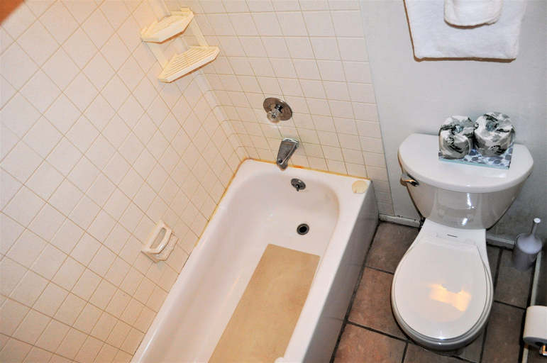 Bathroom 4, Snowflake 1 Bed plus Den 2 Bath, Summit