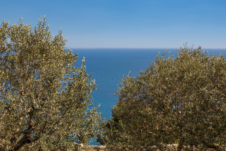Others 5, 619 La Ripostiera by Barbarhouse, Lecce