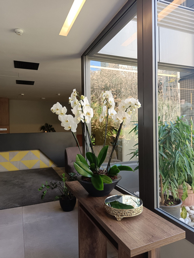 Shade Suites and Studios, Beirut