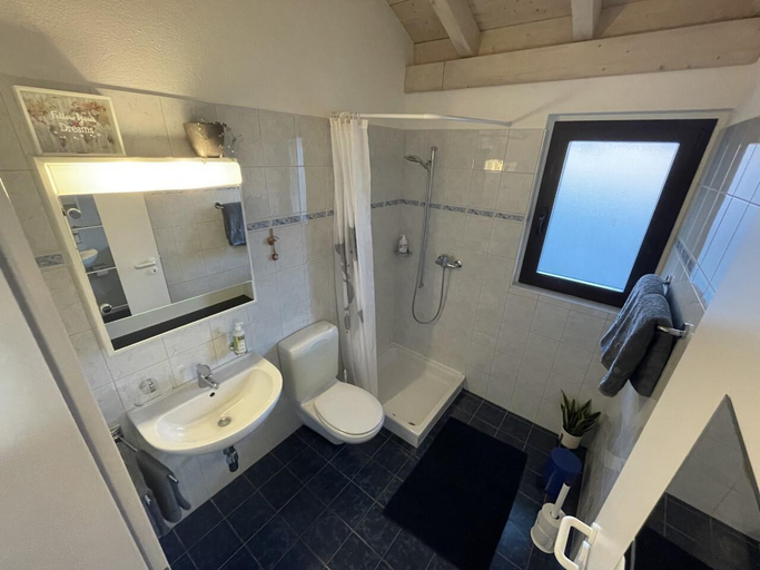 Bathroom 3, cà armonia, Locarno