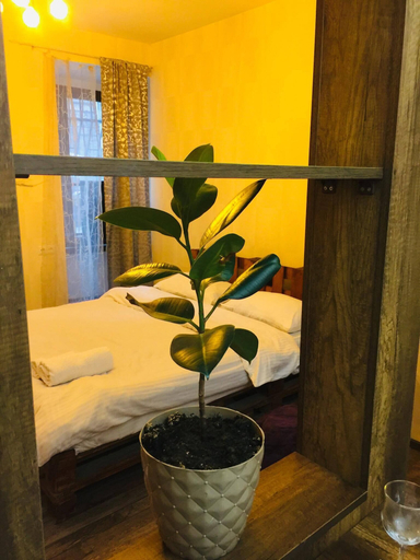 Others 5, Apartment near Dry Bridge, Tbilisi