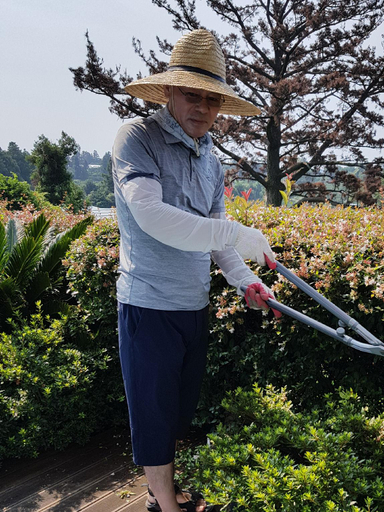 Others 3, Beewool Chaewool Pension, Seogwipo