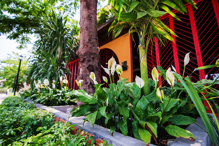 Exterior & Views 2, Light Stone Residence, Siem Reap