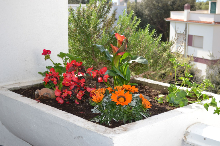 Property amenity, Lavinio Terrace, Rome